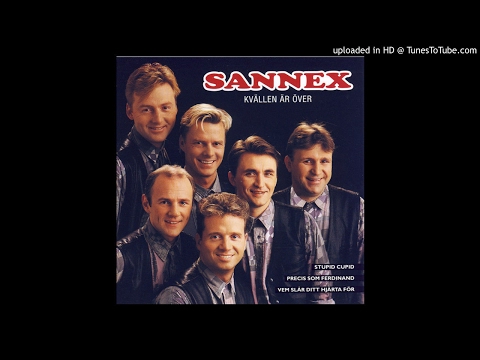 Sannex - Honey Honey