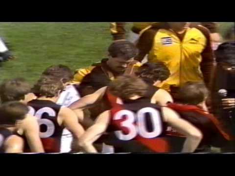 1984 VFL GF prematch