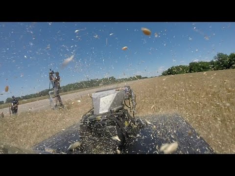 KYE KELLEY -vs- GUDFAR BLOWN IMPALA -vs- Wheat Field