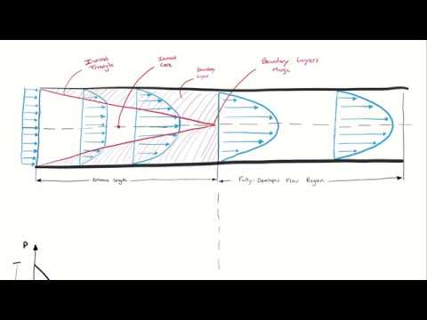 Developing vs Fully Developed Flow