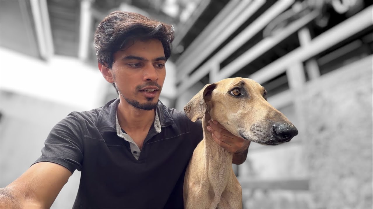 MAARAN….💔 a REPLY & LAST VIDEO..!!