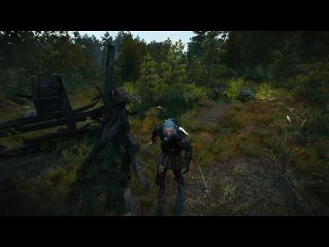 Let's Play The Witcher 3: Wild Hunt (BLIND) - Episode 35