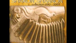 sharon shannon the 3 headed monster