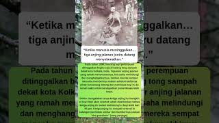 Download lagu h3wan yang M4nusiawi? #faktaunik mp3 Download lagu h3wan yang M4nusiawi? #faktaunik mp3