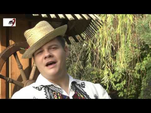 Liviu  Olteanu  - Cat oi traii pe pamant