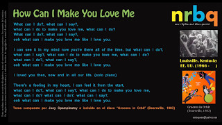 How Can I Make You Love Me - NRBQ
