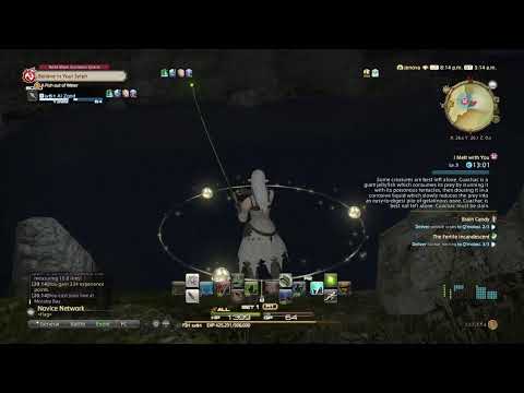 FFXiV Levequest - Brain Candy