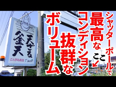 [¡¡Super grande!! ︎¡¡Gran Sanuki udon con dos trozos de la tempura de pollo más grande de todos los tiempos!!] ¡Excelente servicio al cliente que te hará querer volver! ︎Famoso restaurante Sanuki udon [Udon Manryo] Ciudad de Mitoyo, Prefectura de Kagawa