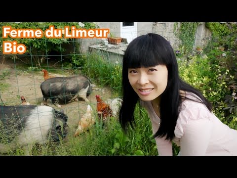 Ferme du Limeur [Bio] Visite du zoo & haul : meilleurs oeufs et épinards Video