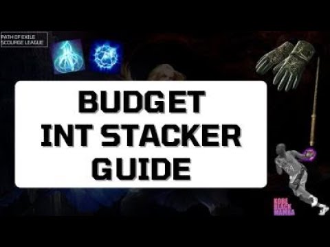 [3.16] Budget INT STACKER Guide, 90% Evasion is OP (Build Diary: #34)