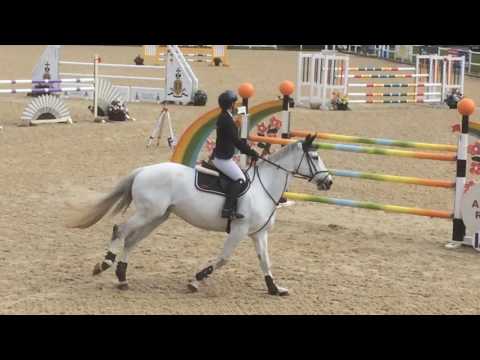 Mira Iv @ Chepstow International 2016