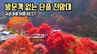 11월 국내 여행 추천 BEST 실시간 매력적인 단풍 명소 #국내여행 #여행추천 
