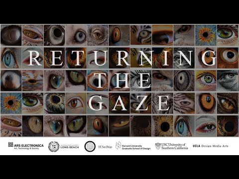 Returning The Gaze: Exhibition Teaser