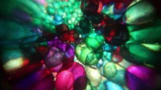 Unconscious Collective - Fluorostani transcendance