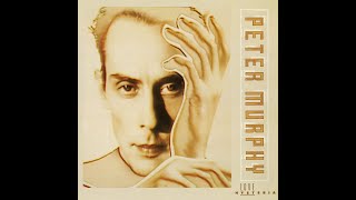 Peter Murphy -- "All Night Long" (2013 remaster)