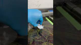 Hydro Dipping Car #satisfyingvideo #shorts