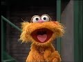 Classic Sesame Street Zoe Is Proud