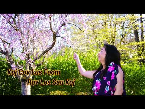 Koj Cov Lus Foom Rov Los Sau Koj 11/25/23
