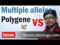 Difference between multiple alleles and polygenic inheritance