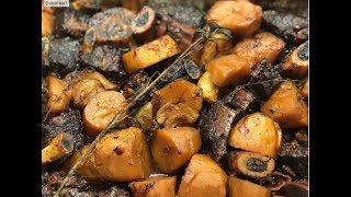 מתכון לאסאדו ביין עם ירקות שורש