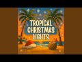 Tropical Christmas Lights