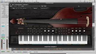 Video thumbnail for Dinner With Ally - Ample Sound ABU demo by freddiehangoler