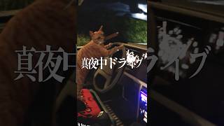 深夜にドライブしてきた / 遊んだゲーム記録