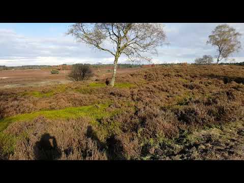 2016-11-05 / Epe / Holland