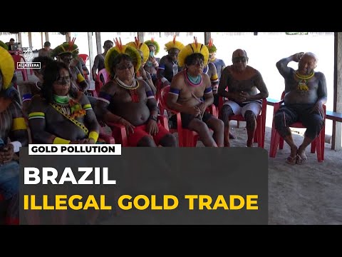 Illegal gold mining in Brazil: Protected indigenous land damaged in amazon