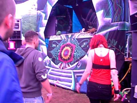 PsYcRoWDeLiCA Festival 2011 Friday .AVI