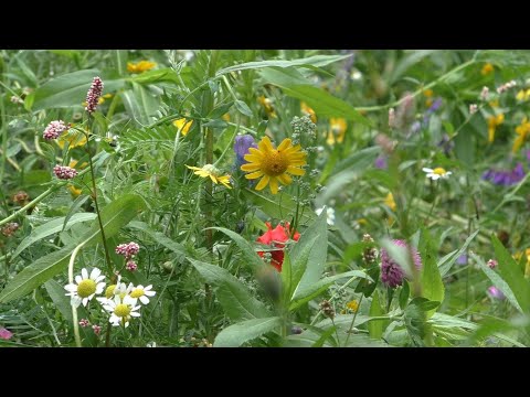 Morning Prayer –Monday, 23rd August 2021