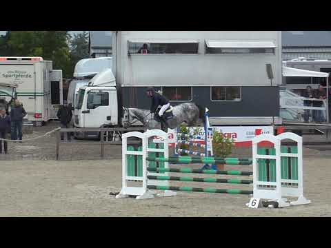 Cosgrove - CdS Havekost 10.09.2019