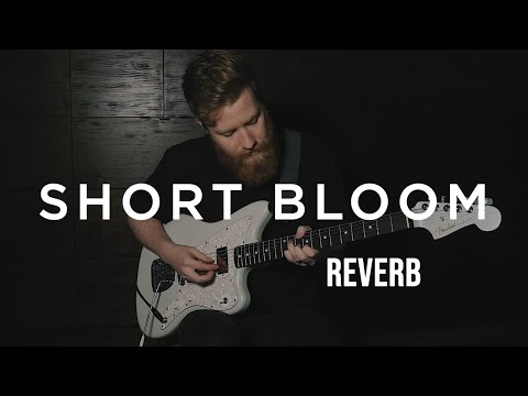 Short Bloom Strymon BigSky Preset Example (Kenyon Reed)