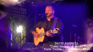DAVID BARRULL EN CONCIERTO TOCINA - LOS ROSALES 2015