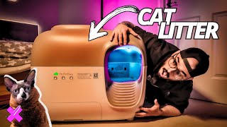 Best Automatic Litter Box For Cats? PetSnowy Review