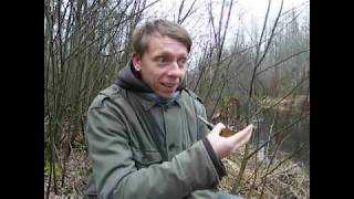 Ссылка