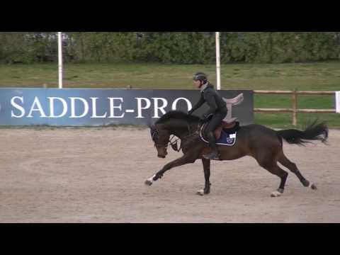 Queen Julien Gonin Vilamoura 2017 (1)