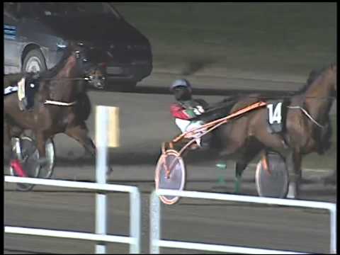 Trotto 09/12/2014 - 5° corsa