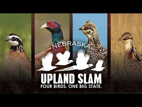 2019 Nebraska Upland Slam: Plan Your Slam