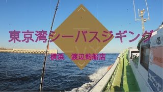 【横浜 渡辺釣船店】東京湾でシーバスを釣りたい #2