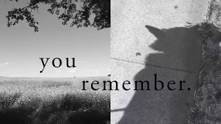 Jaws of Love. (lyric video)