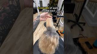 9 hour grey transition - Can’t think of caption. Brain is melted. But here. Look at this. K bye 🩶