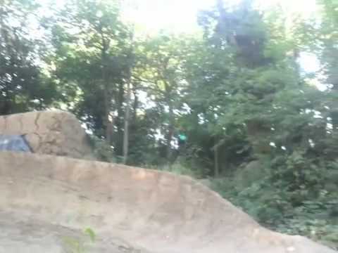 Epsom Trails Big line youth