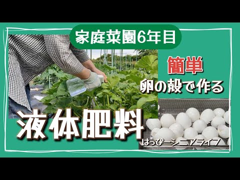 蘭の卵の殻: 最適な開花のためにこの天然肥料について知っておくべきことすべて  庭園