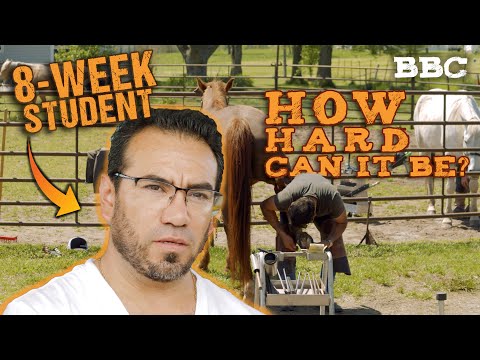 BBC  S1 E8   Struggling to Pass an 8 Week Final Horse