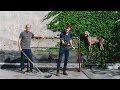William Wegman Loves Weimaraners And Hockey