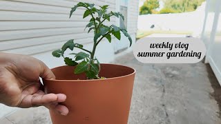 VLOG✨Our First Garden