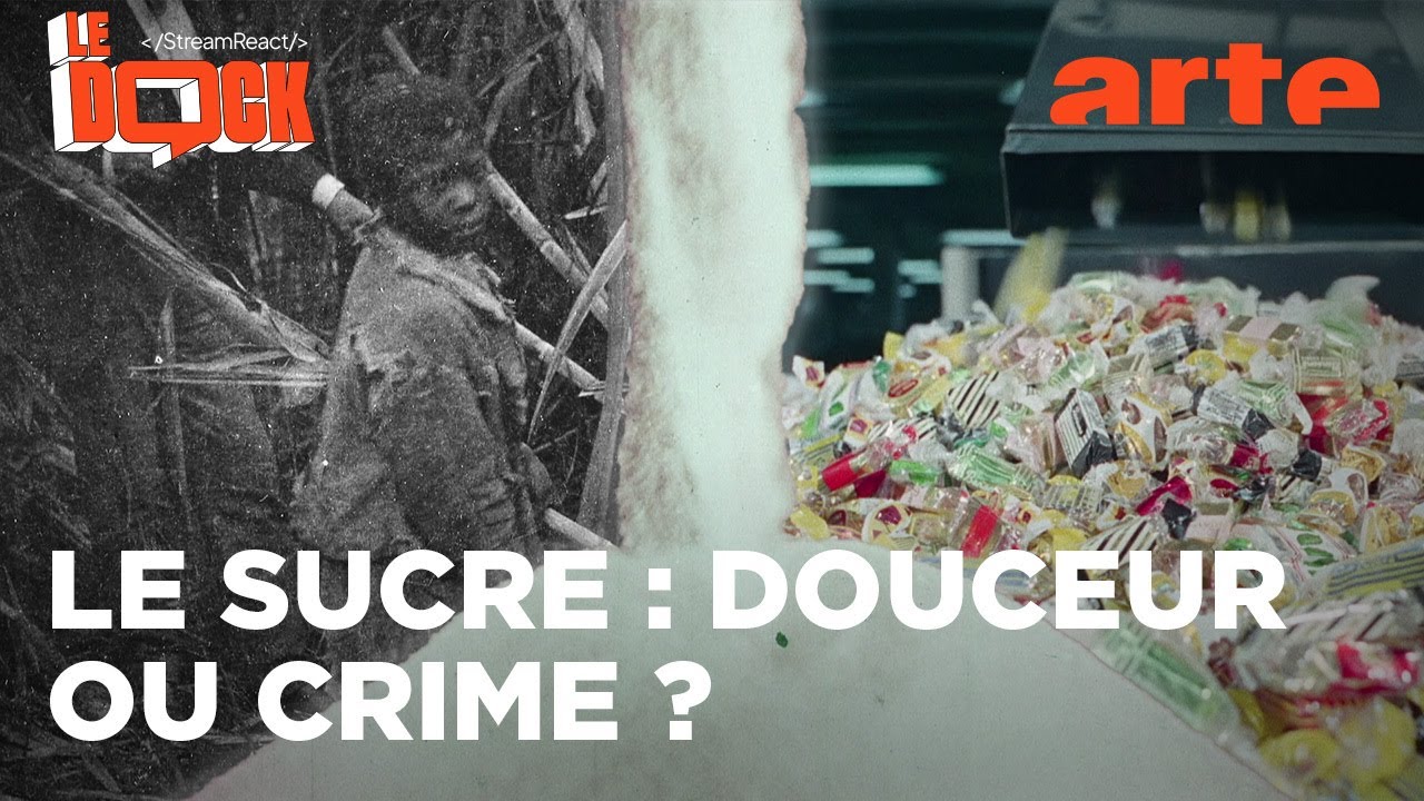 Le Sucre, pour la douceur et pour le pire (react ft @histoirescrepues) I LE DOCK I ARTE