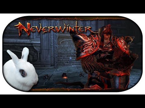 NEVERWINTER: Paladin-LP 🐇 30 - Halas, der Reine