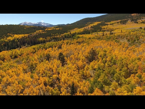 Colorado Fall Colors, Aerial 4K